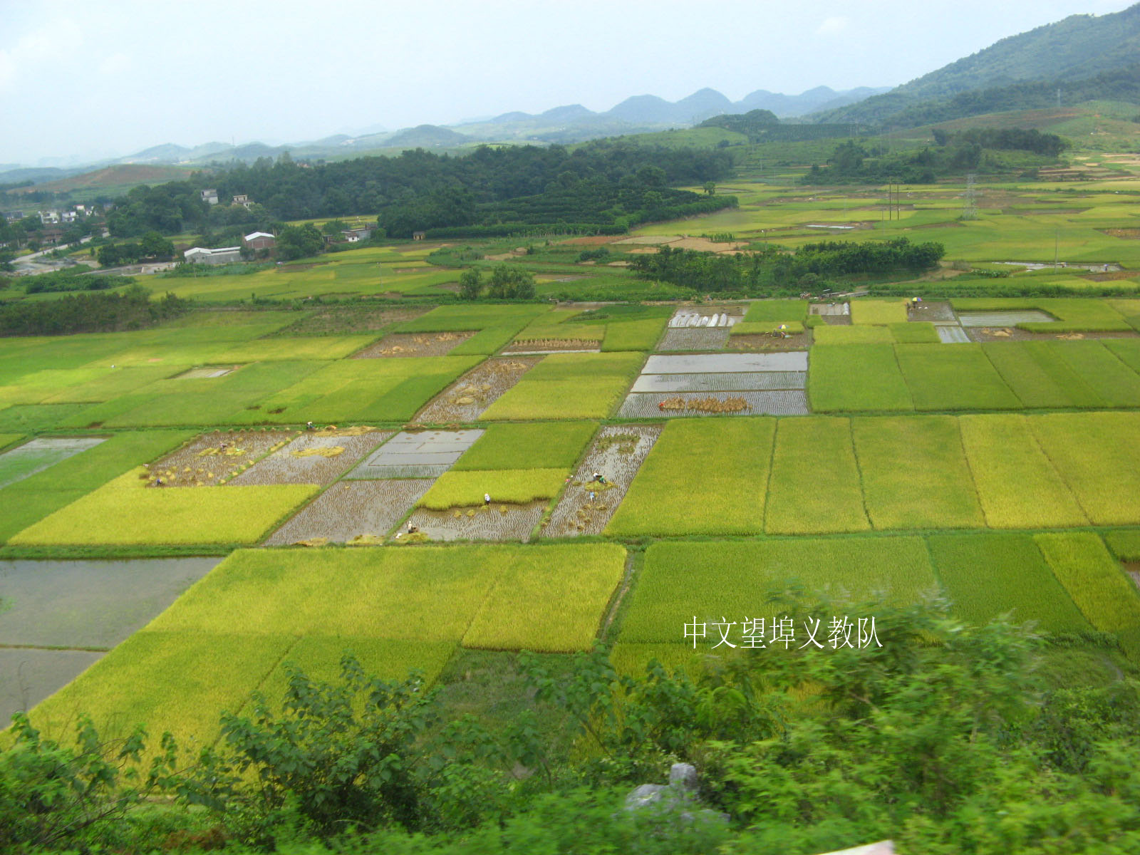 伟德bv国际体育