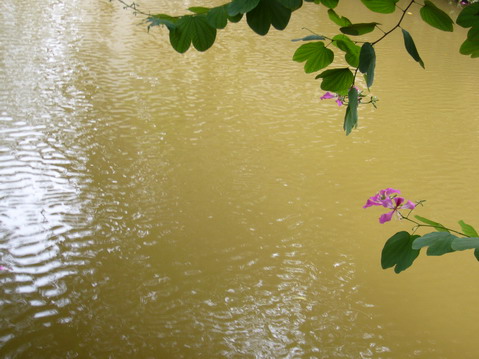 伟德bv国际体育