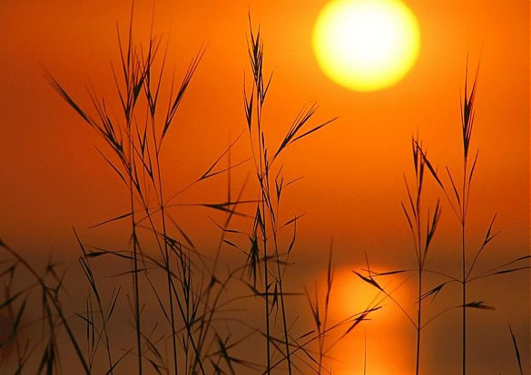 伟德bv国际体育