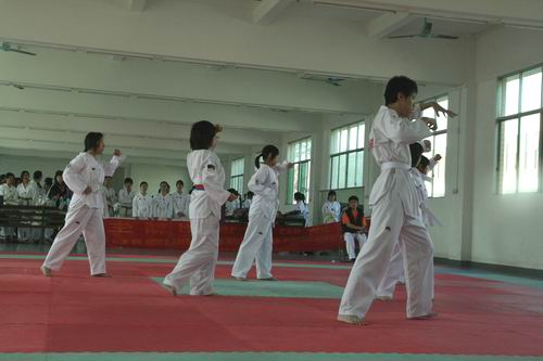 伟德bv国际体育