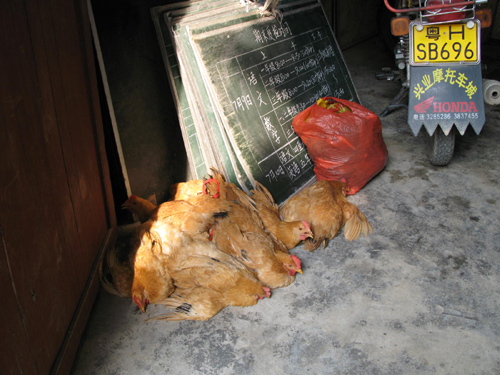 伟德bv国际体育