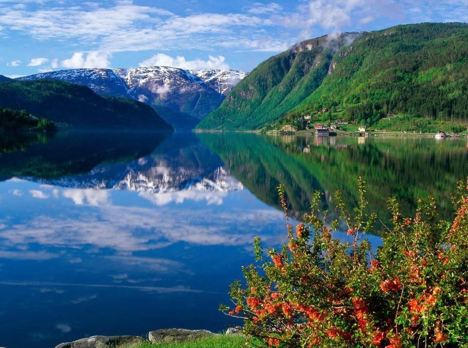 伟德bv国际体育