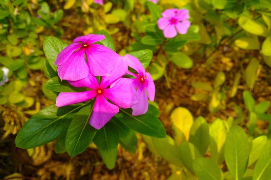 伟德bv国际体育