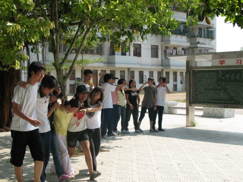 伟德bv国际体育