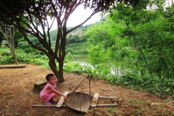 伟德bv国际体育