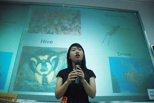 伟德bv国际体育