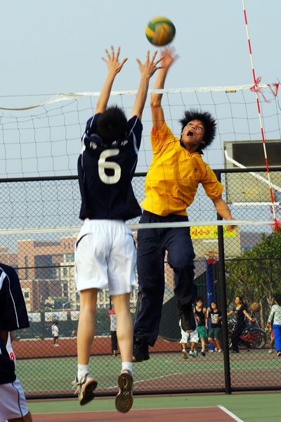 伟德bv国际体育