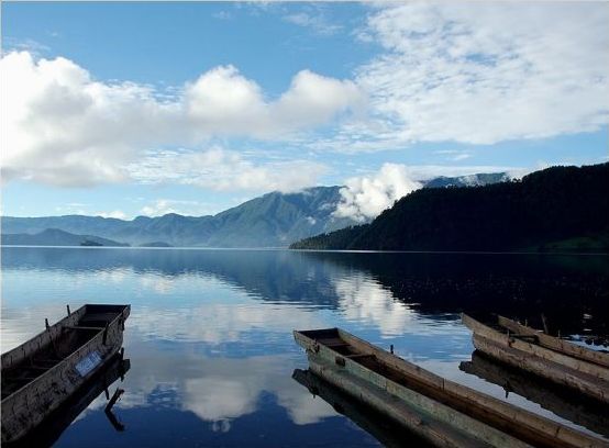 伟德bv国际体育