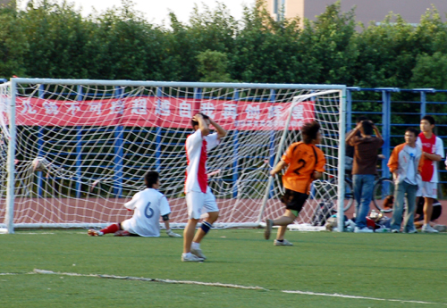 伟德bv国际体育