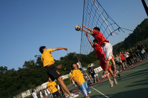 伟德bv国际体育