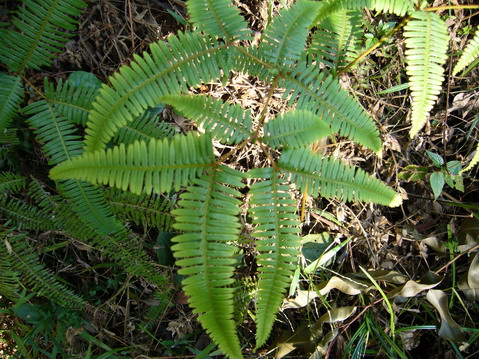 伟德bv国际体育