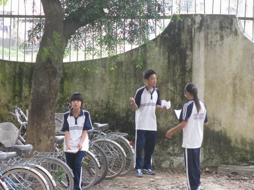 伟德bv国际体育