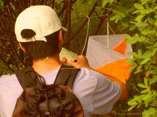 伟德bv国际体育