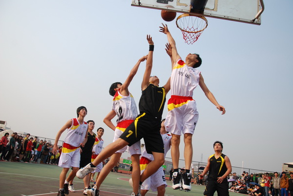 伟德bv国际体育