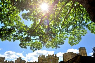 伟德bv国际体育