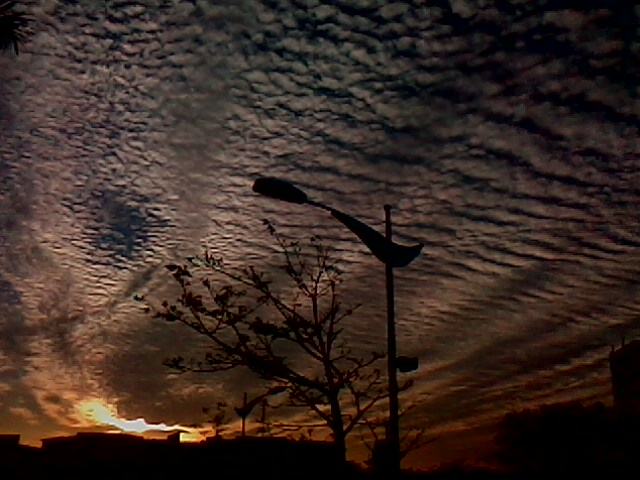 伟德bv国际体育