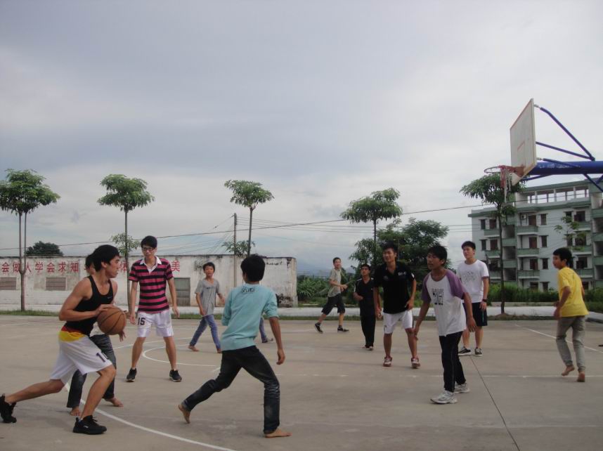 伟德bv国际体育