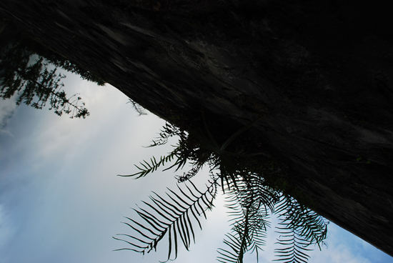 伟德bv国际体育