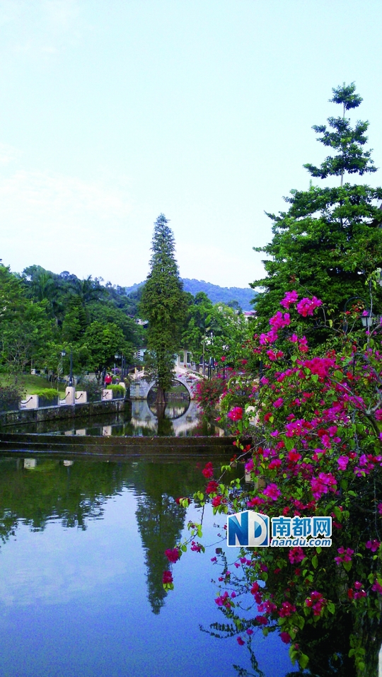 伟德bv国际体育