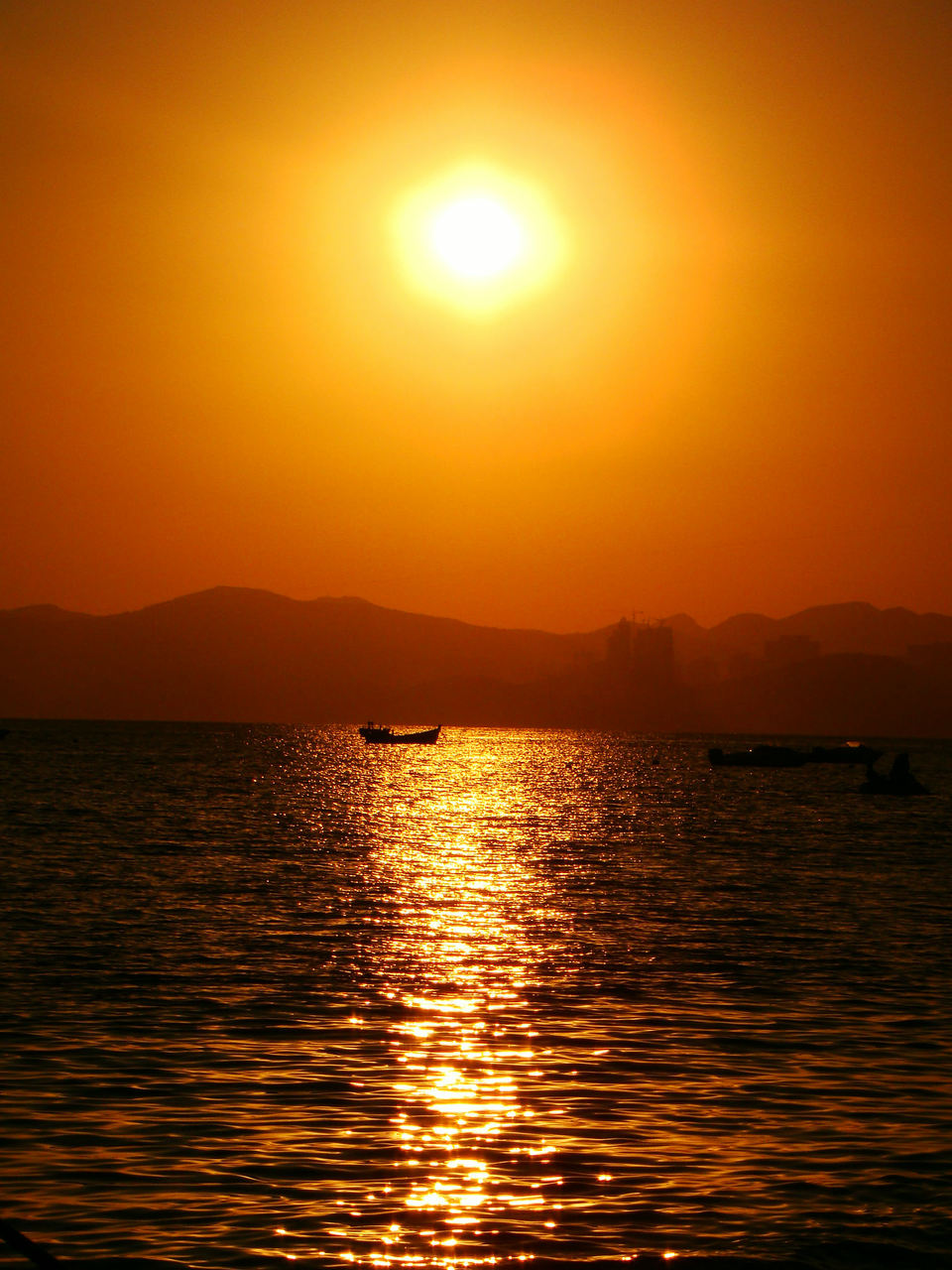 伟德bv国际体育