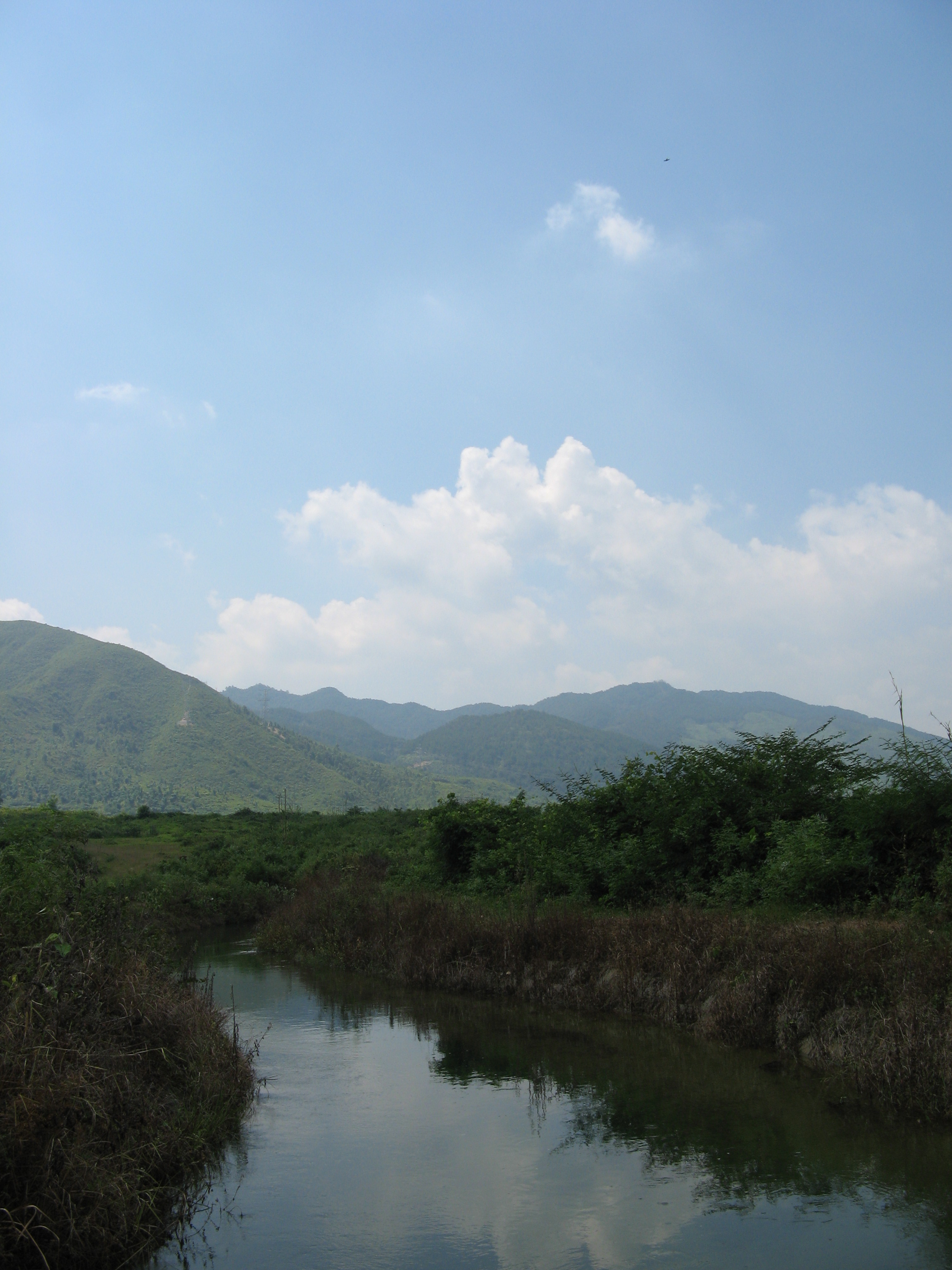 伟德bv国际体育