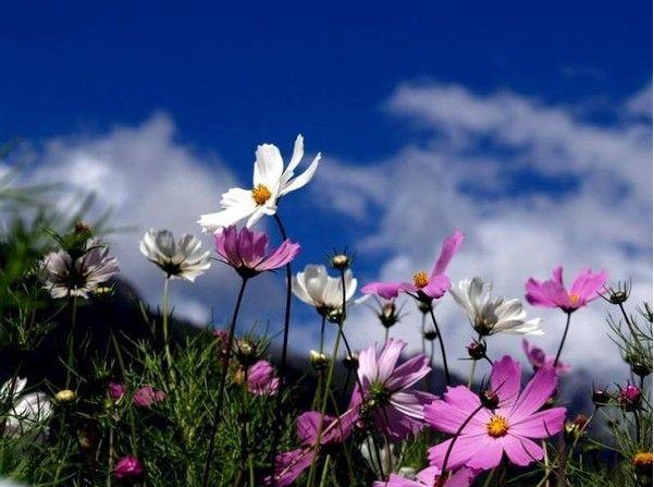 伟德bv国际体育