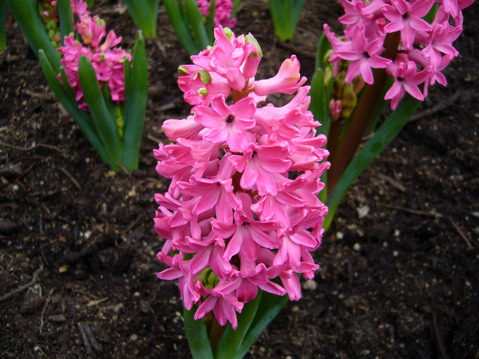 伟德bv国际体育