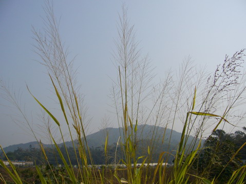 伟德bv国际体育