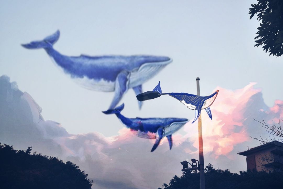 伟德bv国际体育