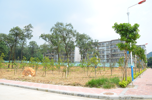 伟德bv国际体育