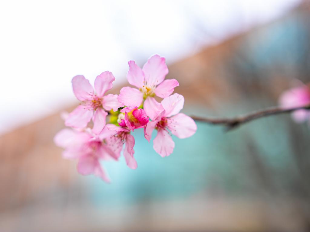 伟德bv国际体育