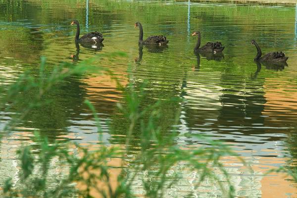 伟德bv国际体育