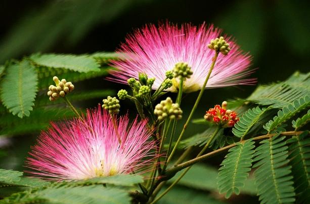 伟德bv国际体育