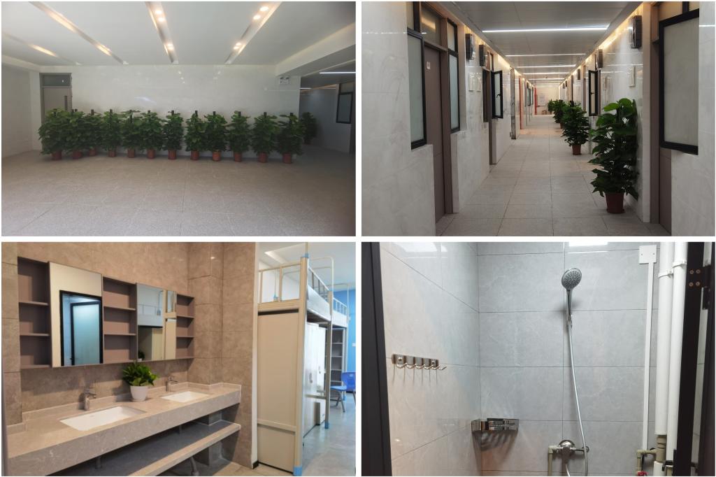 伟德bv国际体育