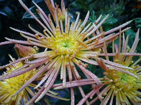 伟德bv国际体育