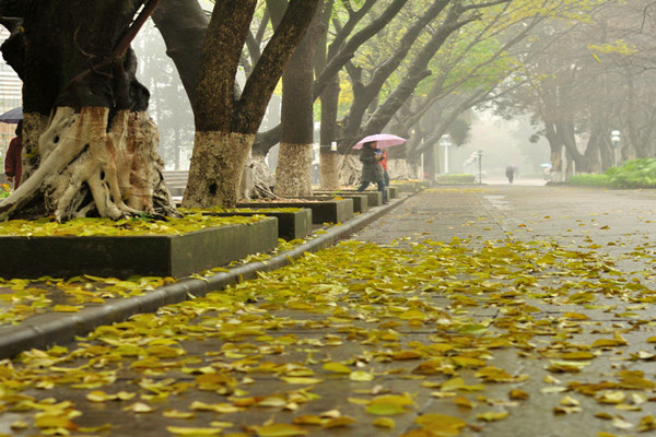 伟德bv国际体育