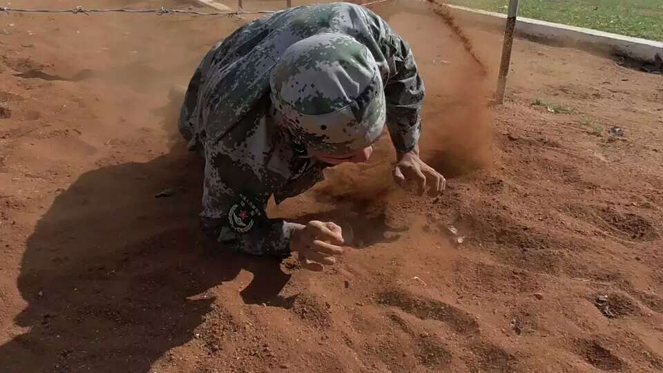 伟德bv国际体育