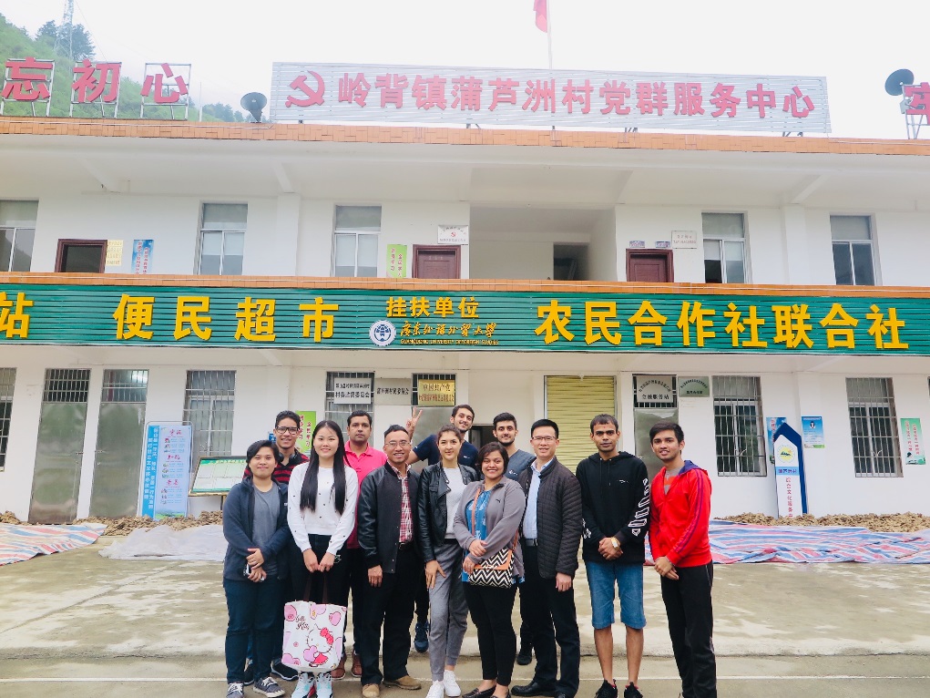 伟德bv国际体育