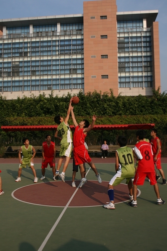 伟德bv国际体育