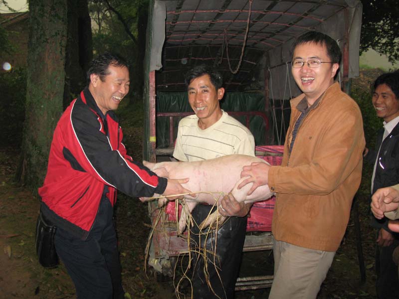 伟德bv国际体育