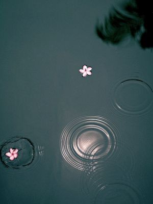 伟德bv国际体育