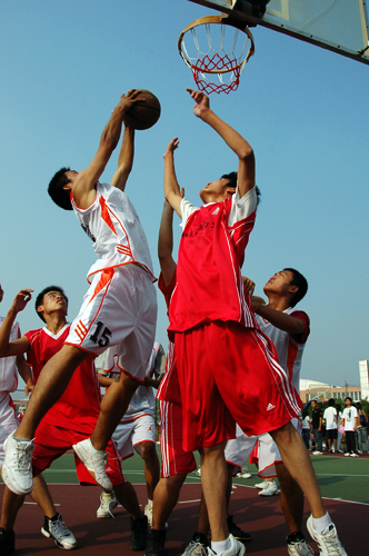 伟德bv国际体育