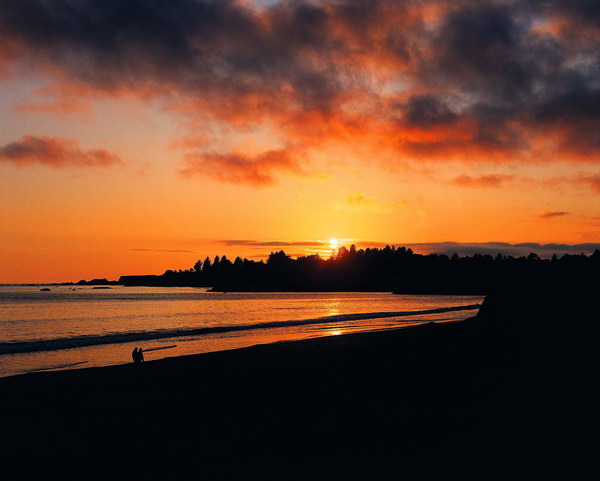 伟德bv国际体育