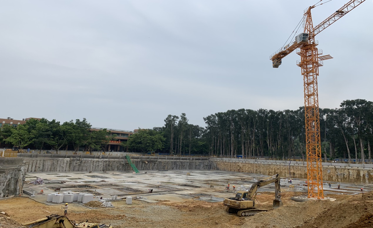 伟德bv国际体育