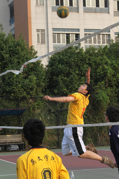 伟德bv国际体育