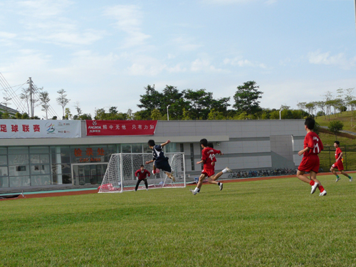 伟德bv国际体育