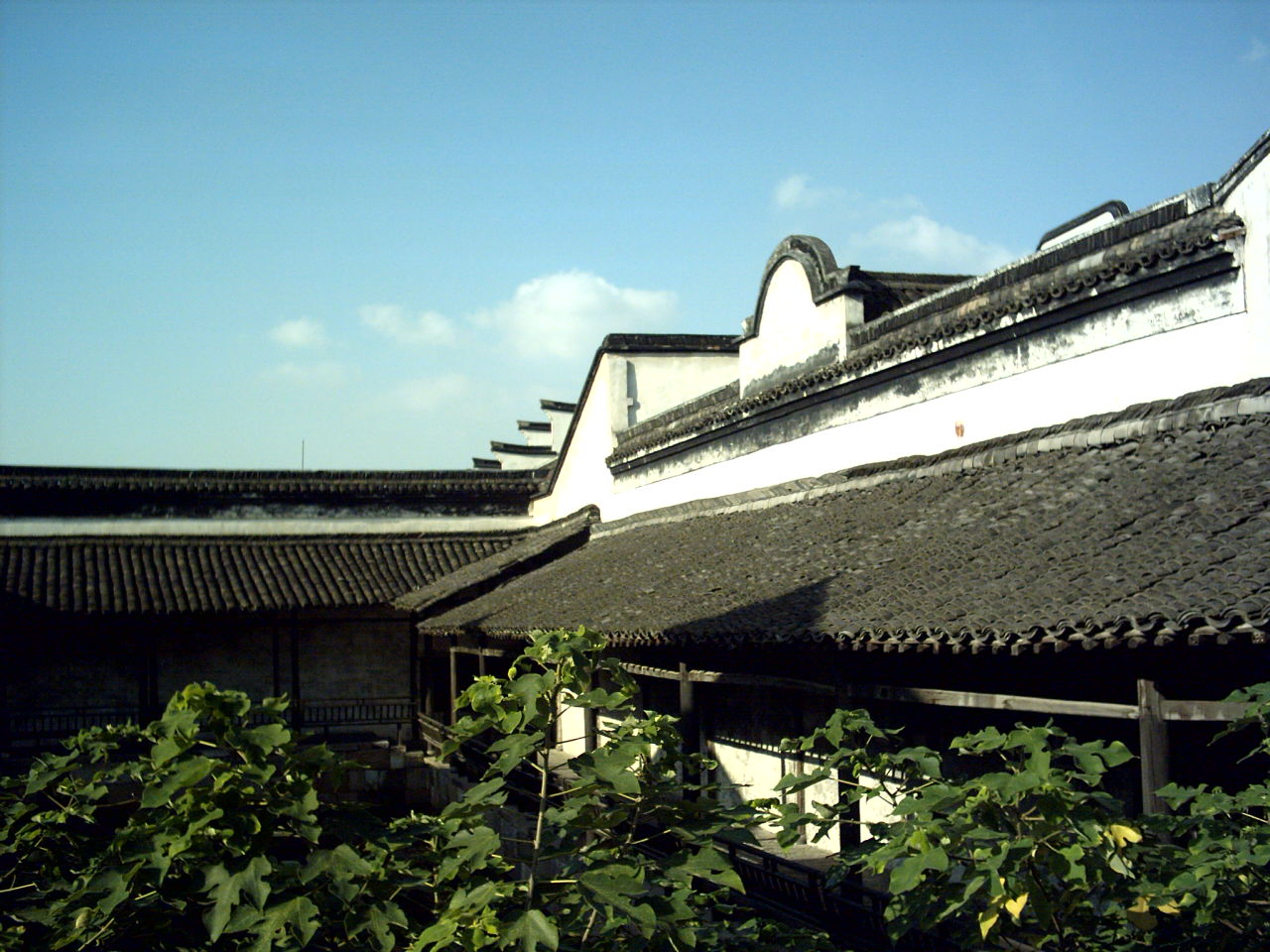 伟德bv国际体育