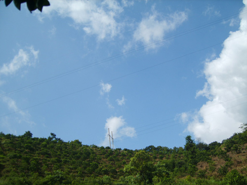 伟德bv国际体育