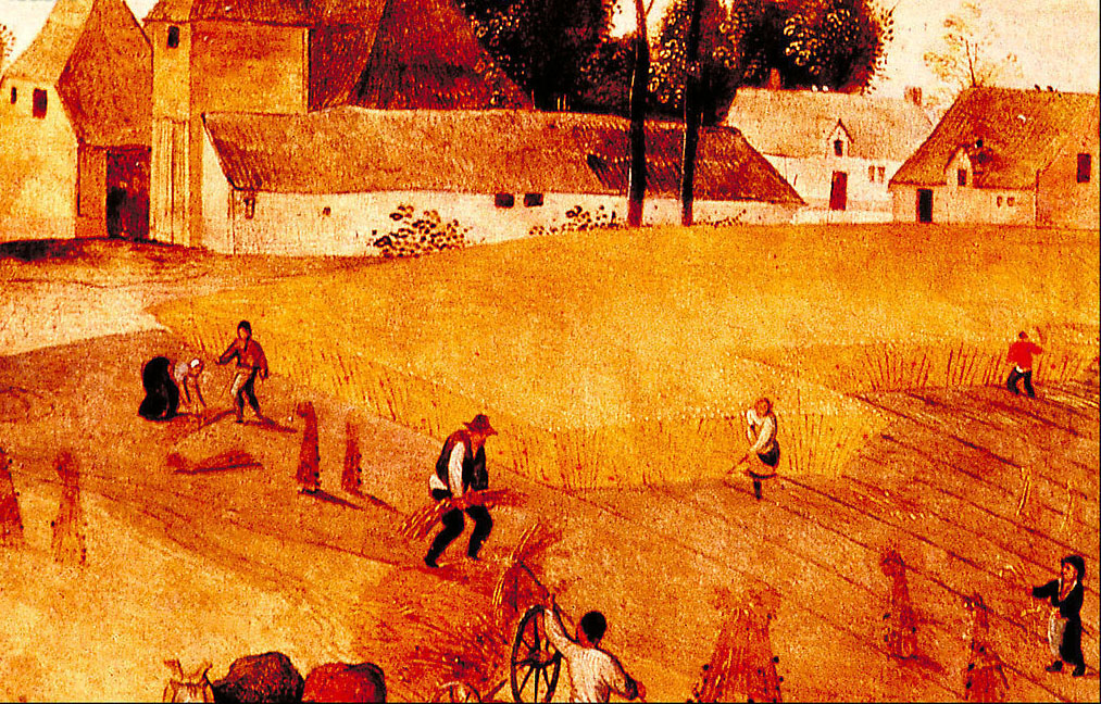 伟德bv国际体育