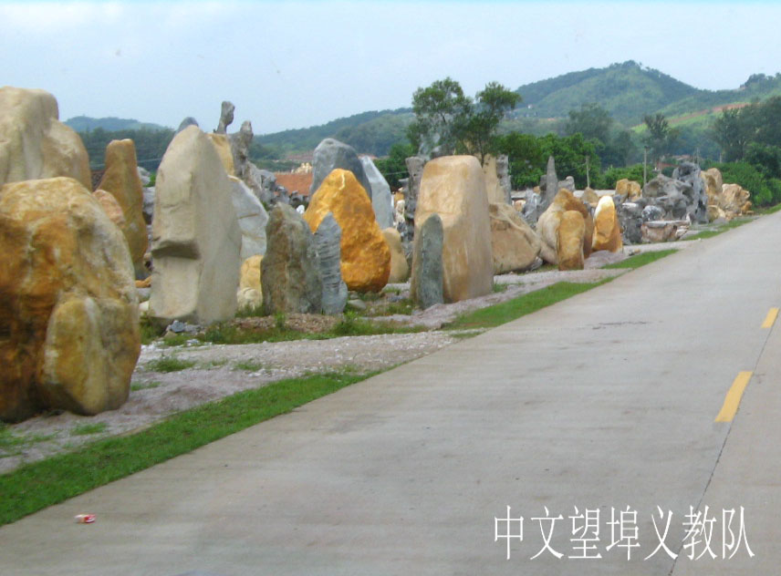 伟德bv国际体育